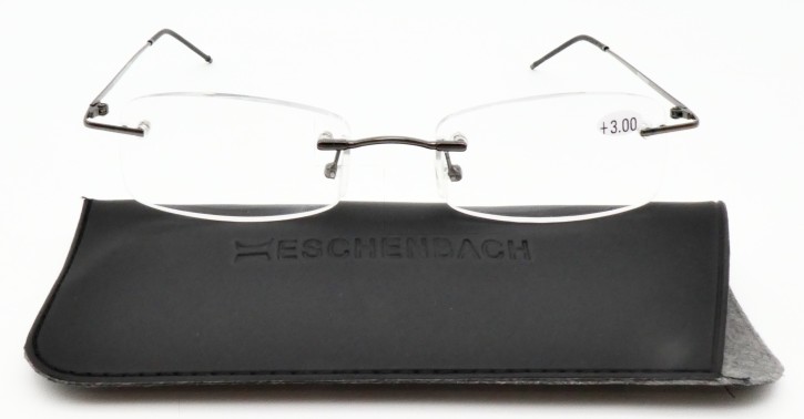 Eschenbach Lesebrille 291212
